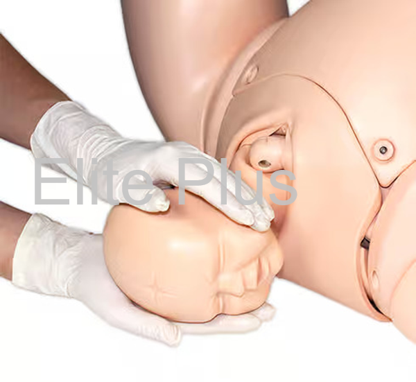Prompt Flex Birthing Simulator - Color: Ivory