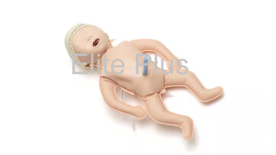 Neonatalie - Pvc Material, Realistic Size, Ivory Color | Features Spontaneous Breathing, Umbilical Pulse, Crying For Nursing Education