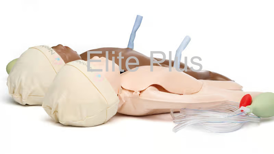 Neonatalie - Pvc Material, Realistic Size, Ivory Color | Features Spontaneous Breathing, Umbilical Pulse, Crying For Nursing Education