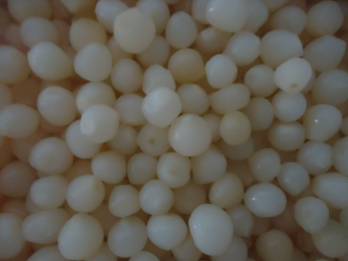 संसाधित सफेद प्याज