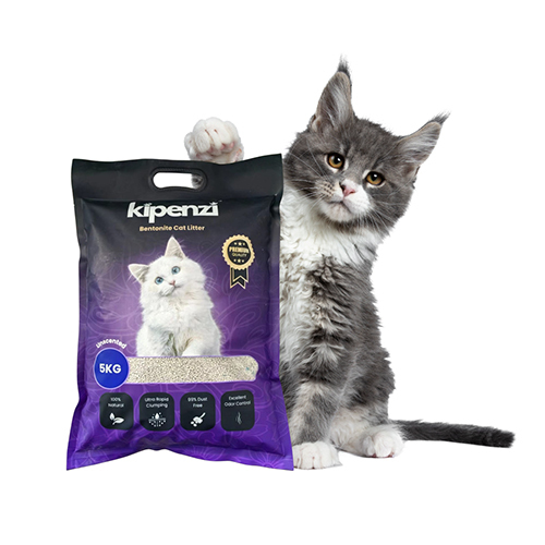 White/grey Bentonite Cat Litter (Unscented)