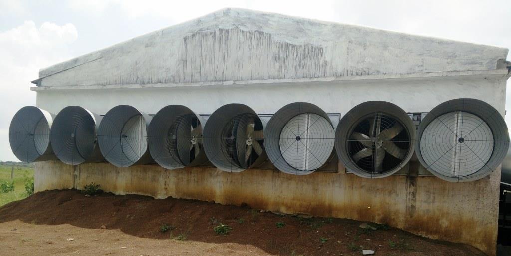 54 Inch Cone Poultry Fan - Color: Gray