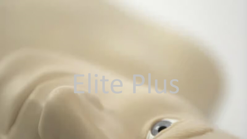 Pneumothorax Trainer - Color: Ivory