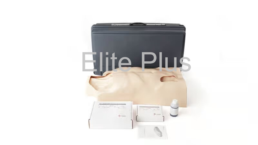 Laerdal Iv Torso - Color: Ivory