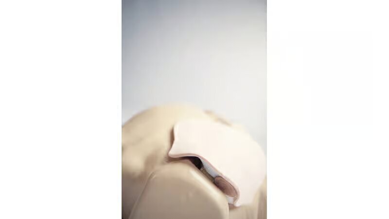 Laerdal Iv Torso - Color: Ivory