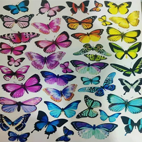 Multicolored Dry Transfer Stickers