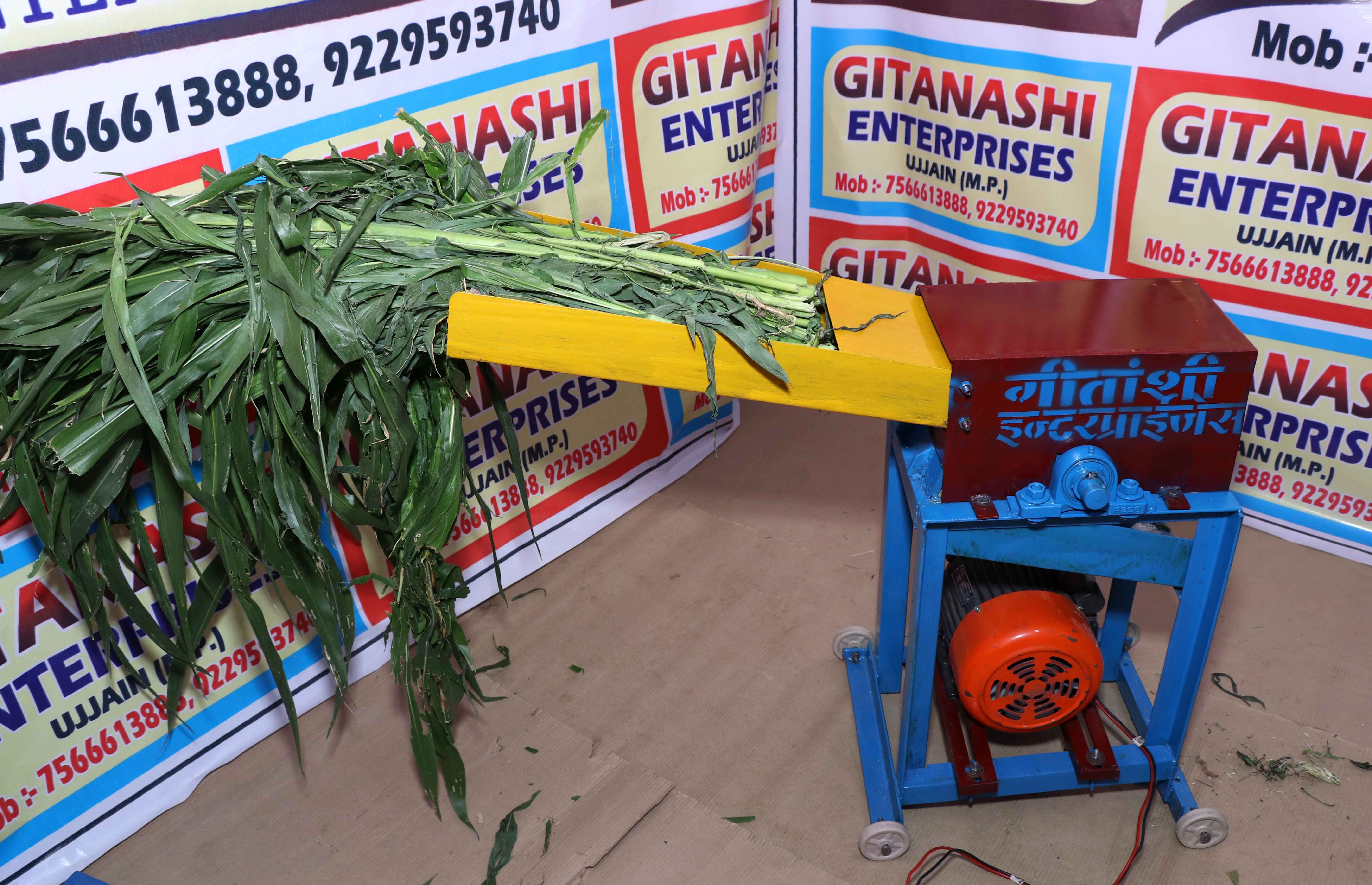 Gitanshi Single Phase 2 Hp Ms Mini Electric Chaff Cutter - Color: Red And Blue