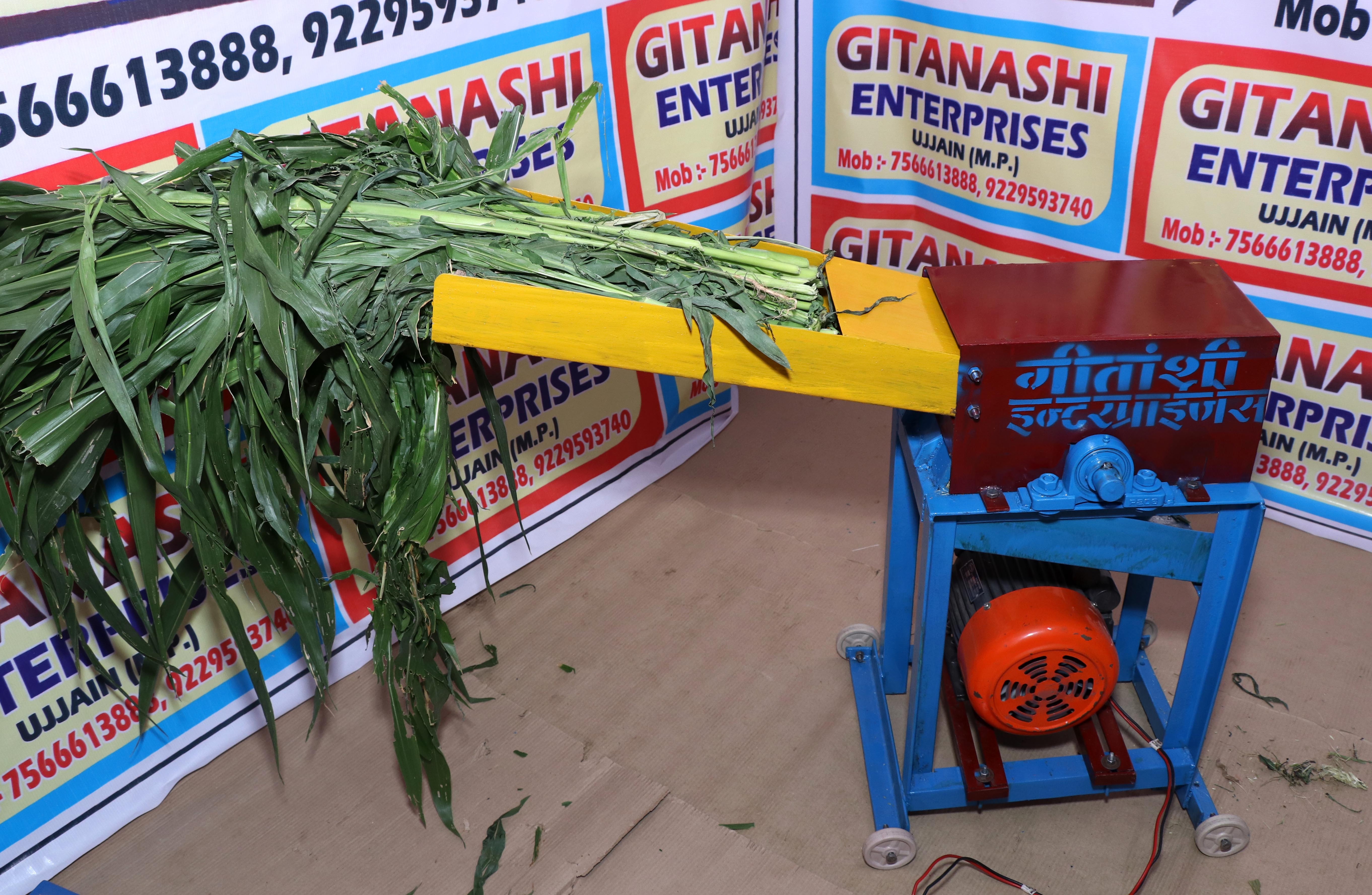 Gitanshi Single Phase 2 Hp Ms Mini Electric Chaff Cutter - Color: Red And Blue