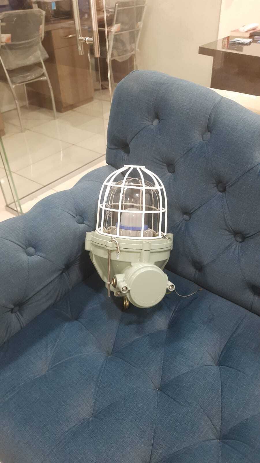 Led Flameproof Light- 30-200 Watt