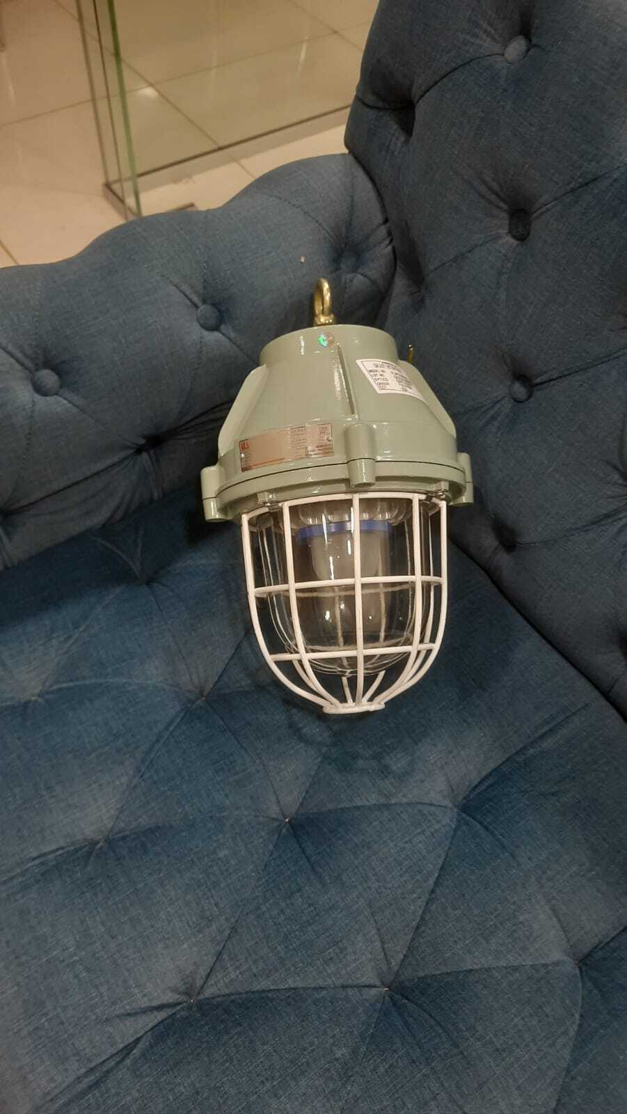 Led Flameproof Light- 30-200 Watt