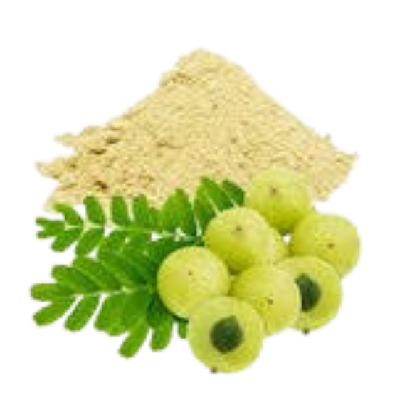 Herbal Amla Powder By P R Herbal