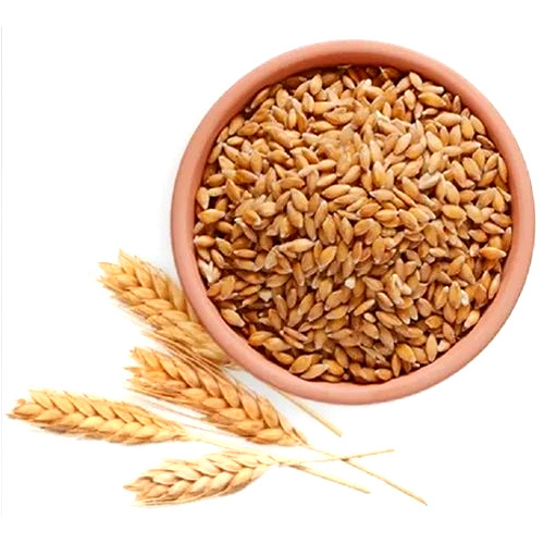 Whole Wheat Flour - 25/50Kg Polypropylene Bags | High-Quality Grain, Nutrient-Rich, Custom Packaging Options