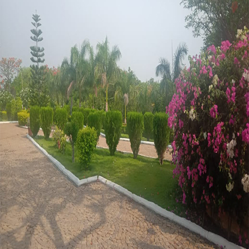 परिदृश्य विकास सेवा
