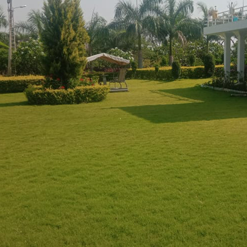 Lawn Landscape Service