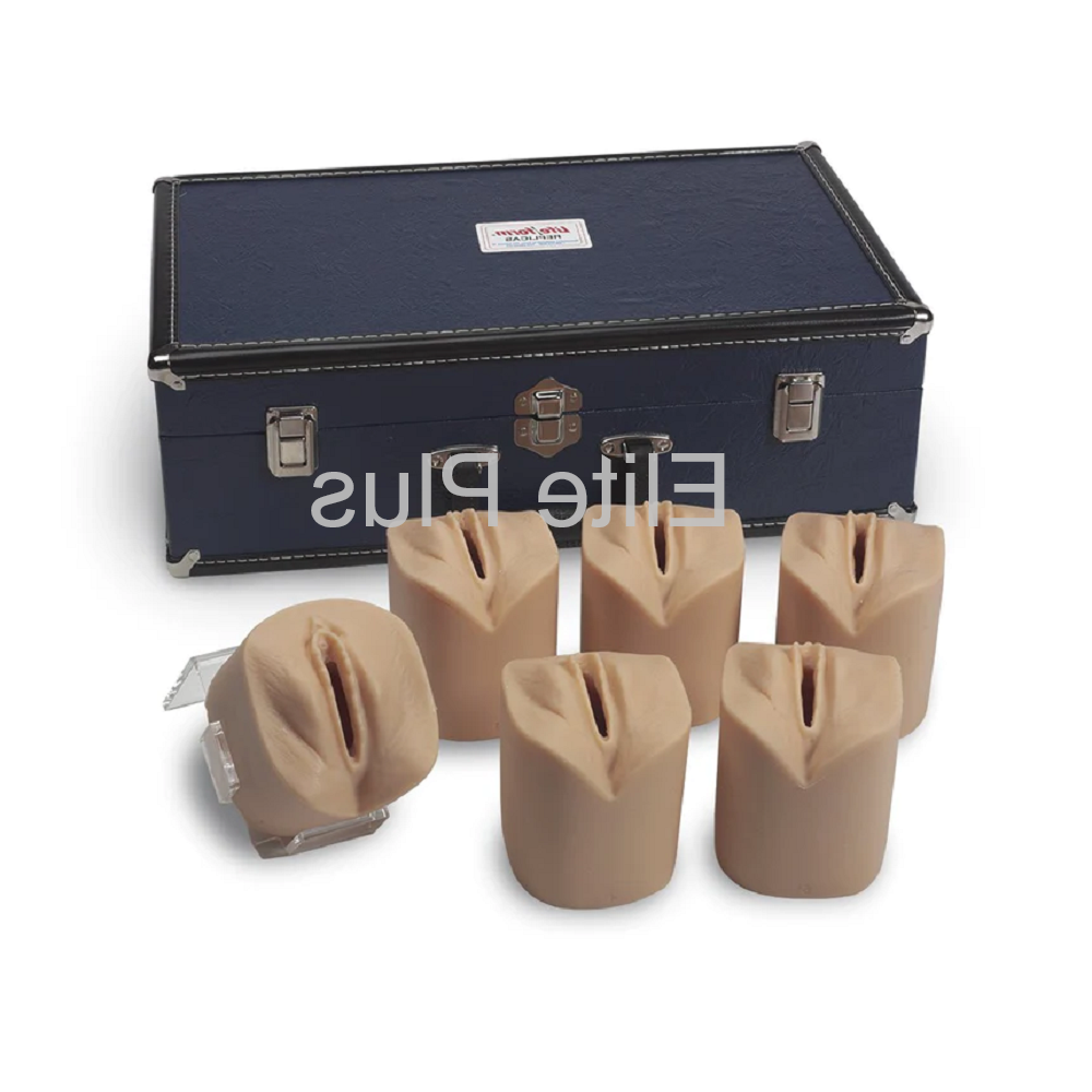 Cervical Dilatation And Effacement Simulators - Color: Ivory