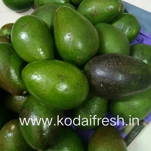 Avocado Fruits By Kodai Fresh Private Limited