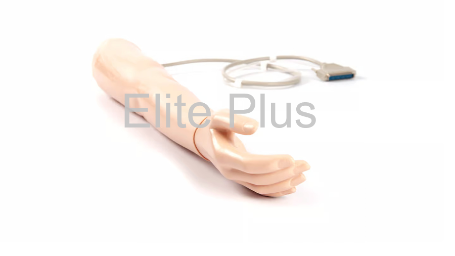 Blood Pressure Training Arm - Color: Ivory