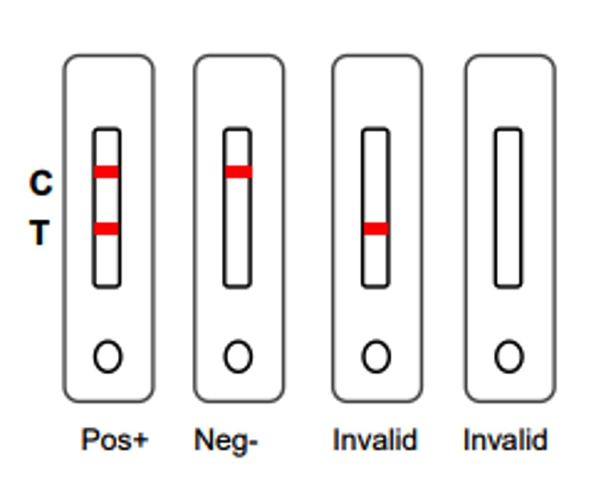 Buffalo Brucella Rapid Test Kit - Color: Black