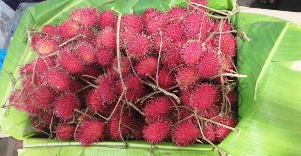 Rambutan Fruit