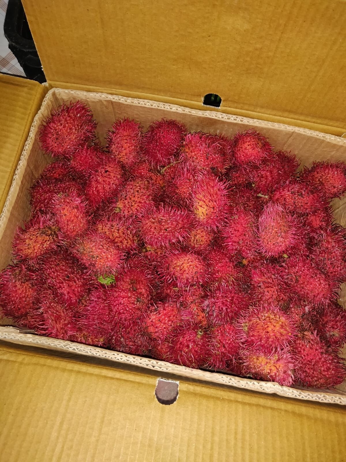 Rambutan Fruit