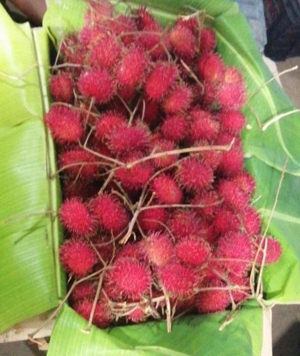 Rambutan Fruit