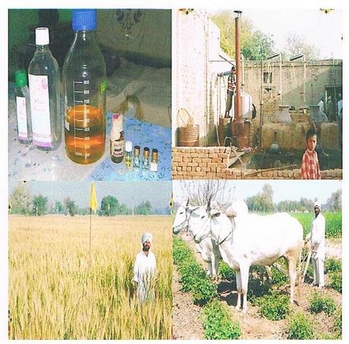 ऑर्गेनिक उत्पाद