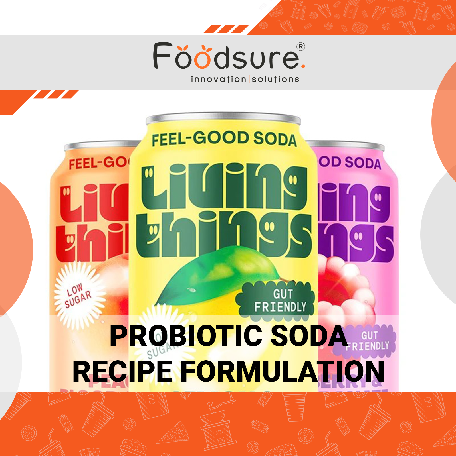 Probiotic Soda Recipe Formulation