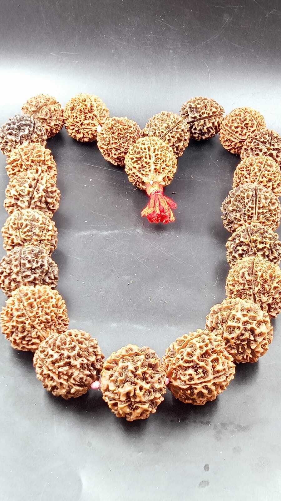 Natural Papua 5 Mukhi Rudraksha 21+1 Beads Mala - Occasion: Religious