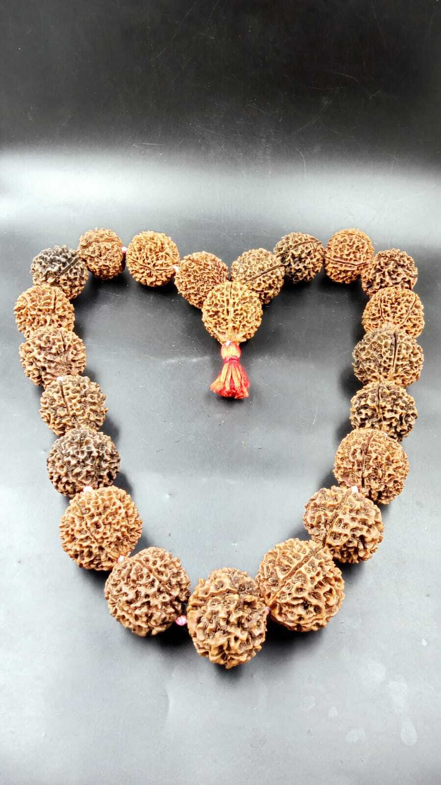 Natural Papua 5 Mukhi Rudraksha 21+1 Beads Mala - Occasion: Religious
