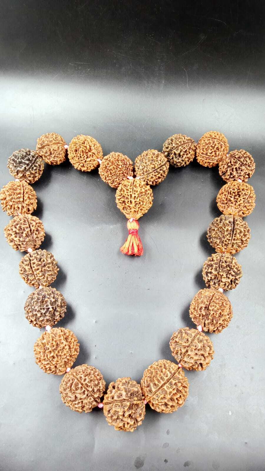 Natural Papua 5 Mukhi Rudraksha 21+1 Beads Mala - Occasion: Religious