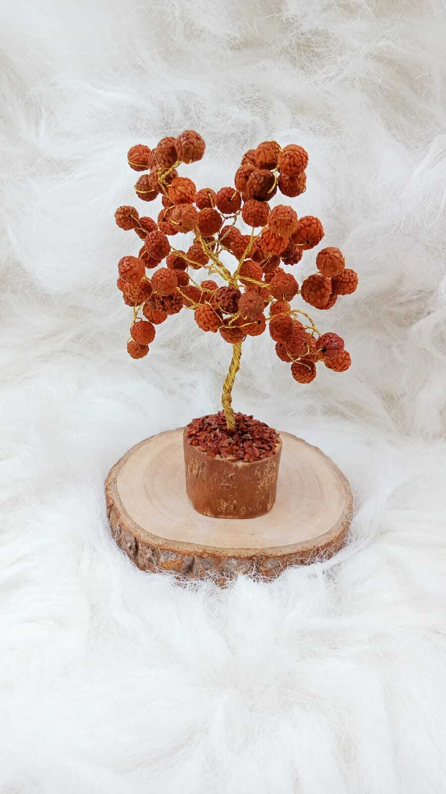 Rudraksha Beads Tree - Color: Brown