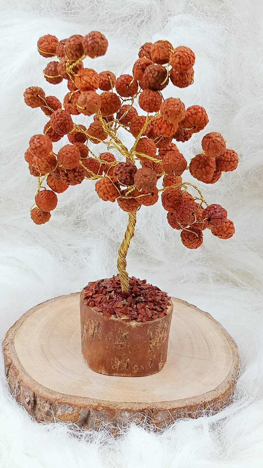 Rudraksha Beads Tree - Color: Brown