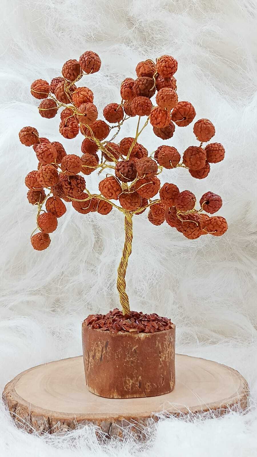 Rudraksha Beads Tree - Color: Brown