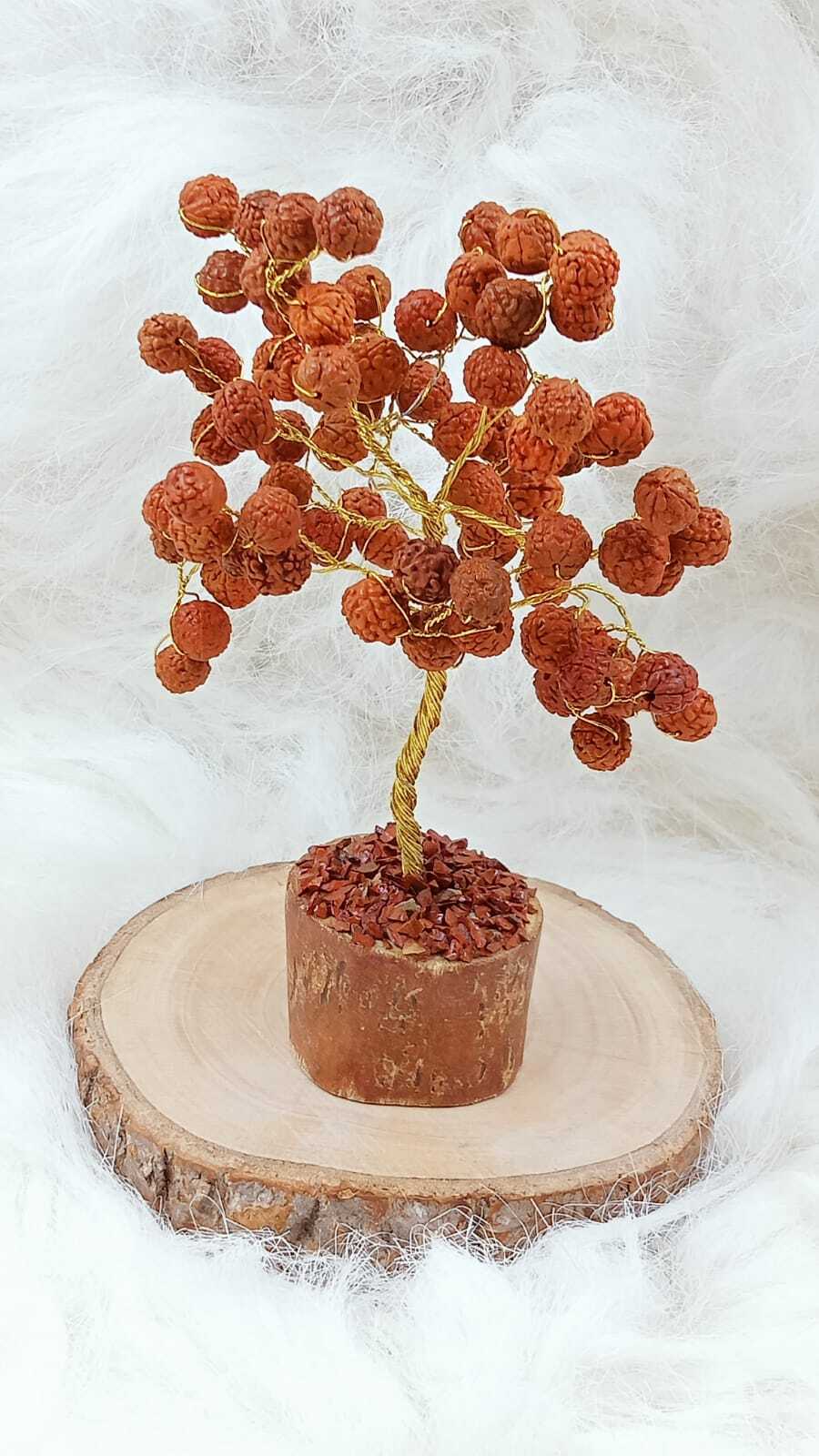 Rudraksha Beads Tree - Color: Brown
