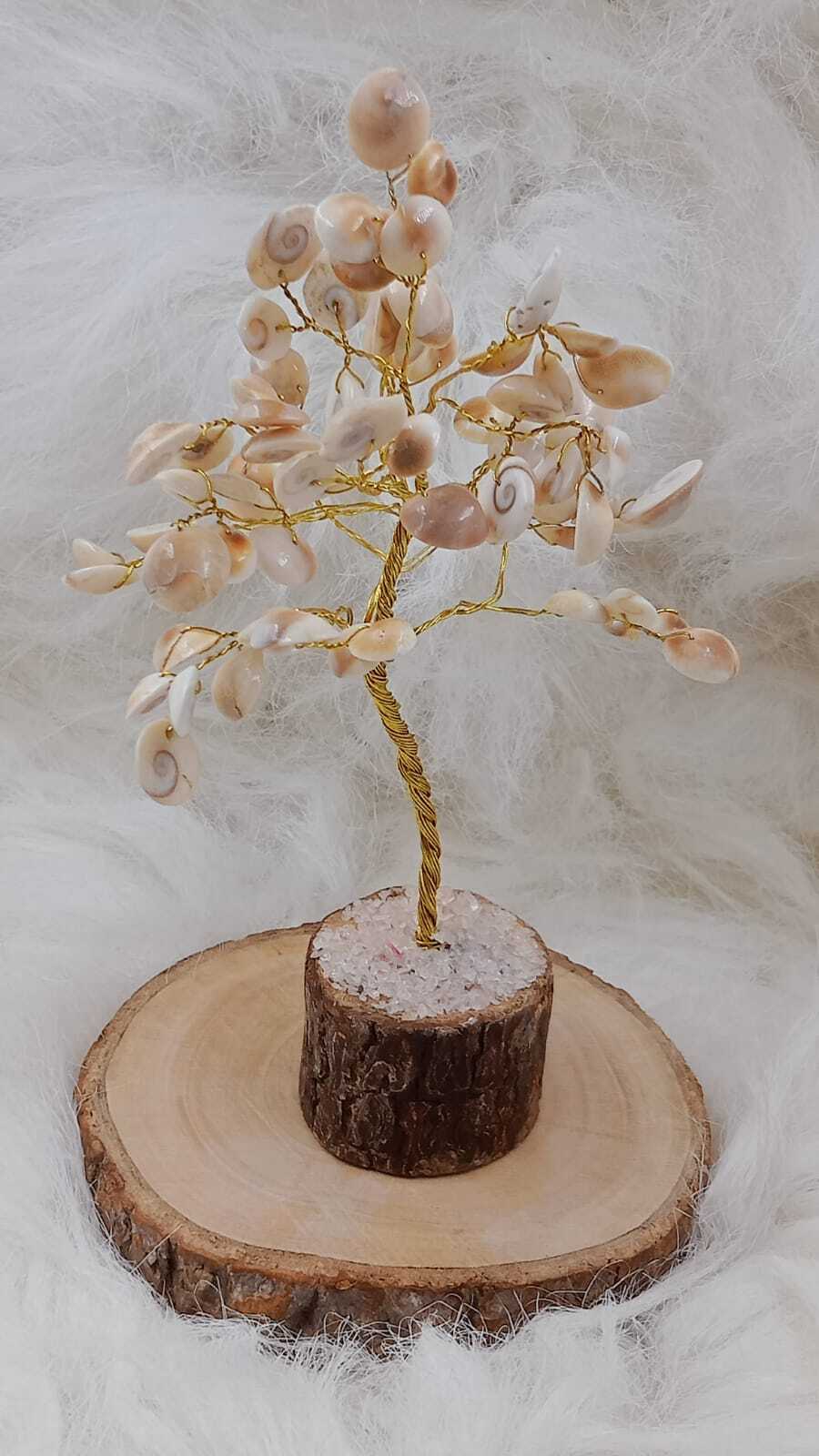 Gomti Chakra Tree - Color: White