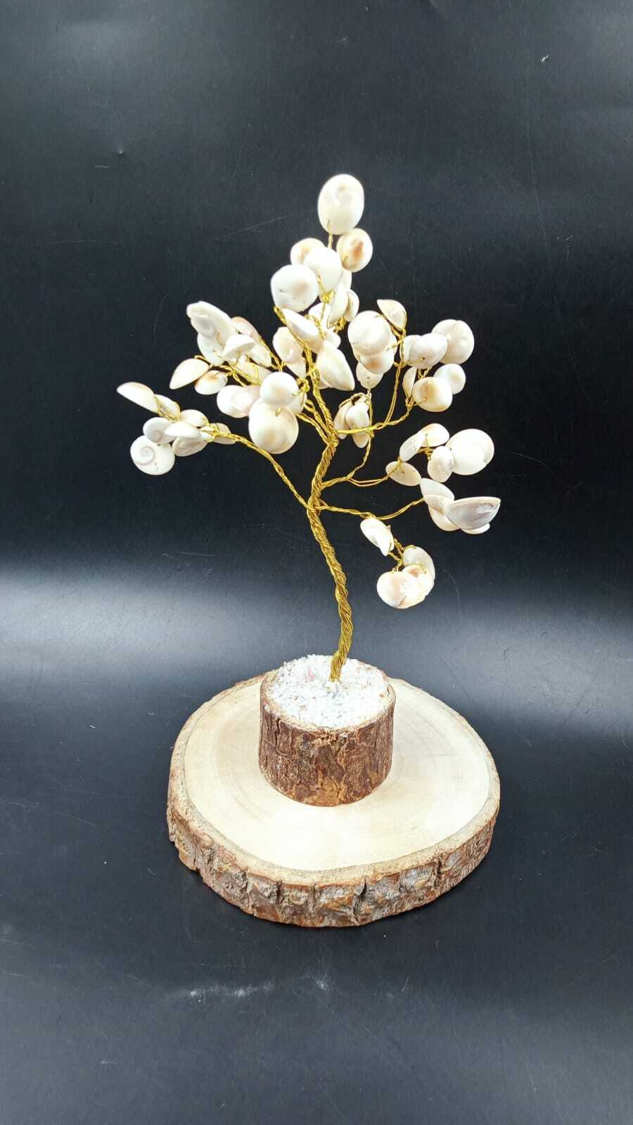 Gomti Chakra Tree - Color: White