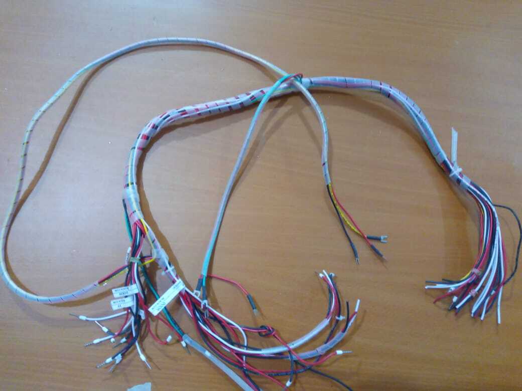Electric Auto Wheeler Wire Assembly