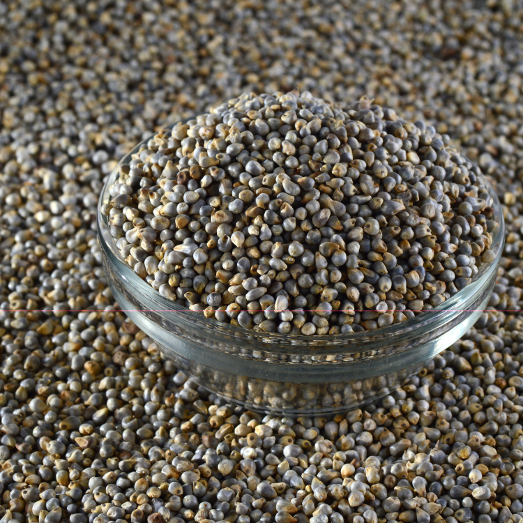 Natural Pearl Millet Bajra-raw - Color: Green