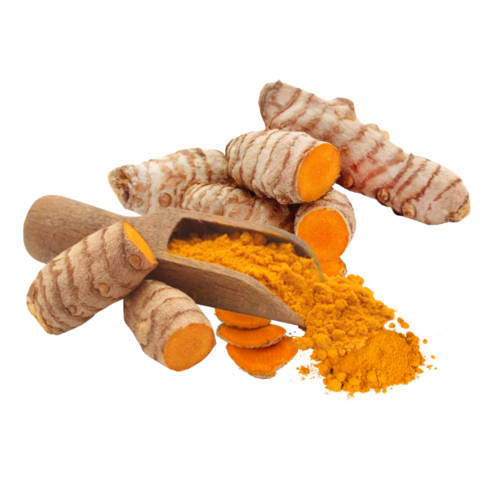 Natural Turmeric ( Haldi ) 2.6 Curcumin - Fingers - Color: Yellow
