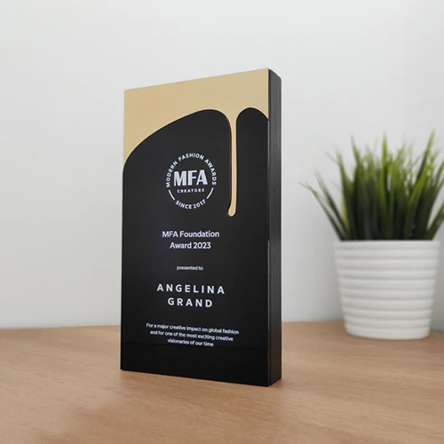 MFA Foundation Award का वर्णन