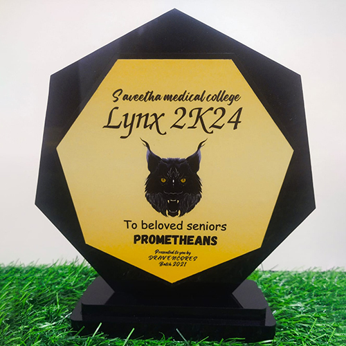 कस्टमाइज़्ड पुरस्कार