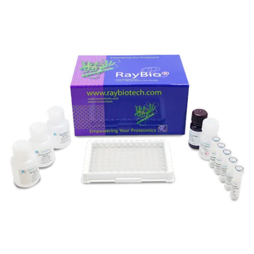 Lysozyme Elisa Kit - Operating Type: Manual