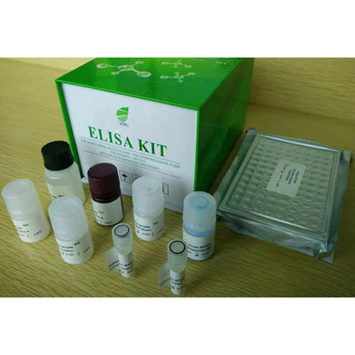 E. Coli O157 Elisa Kit - Plastic Material, Manual Operation, Portable Design | New for Hospital Use