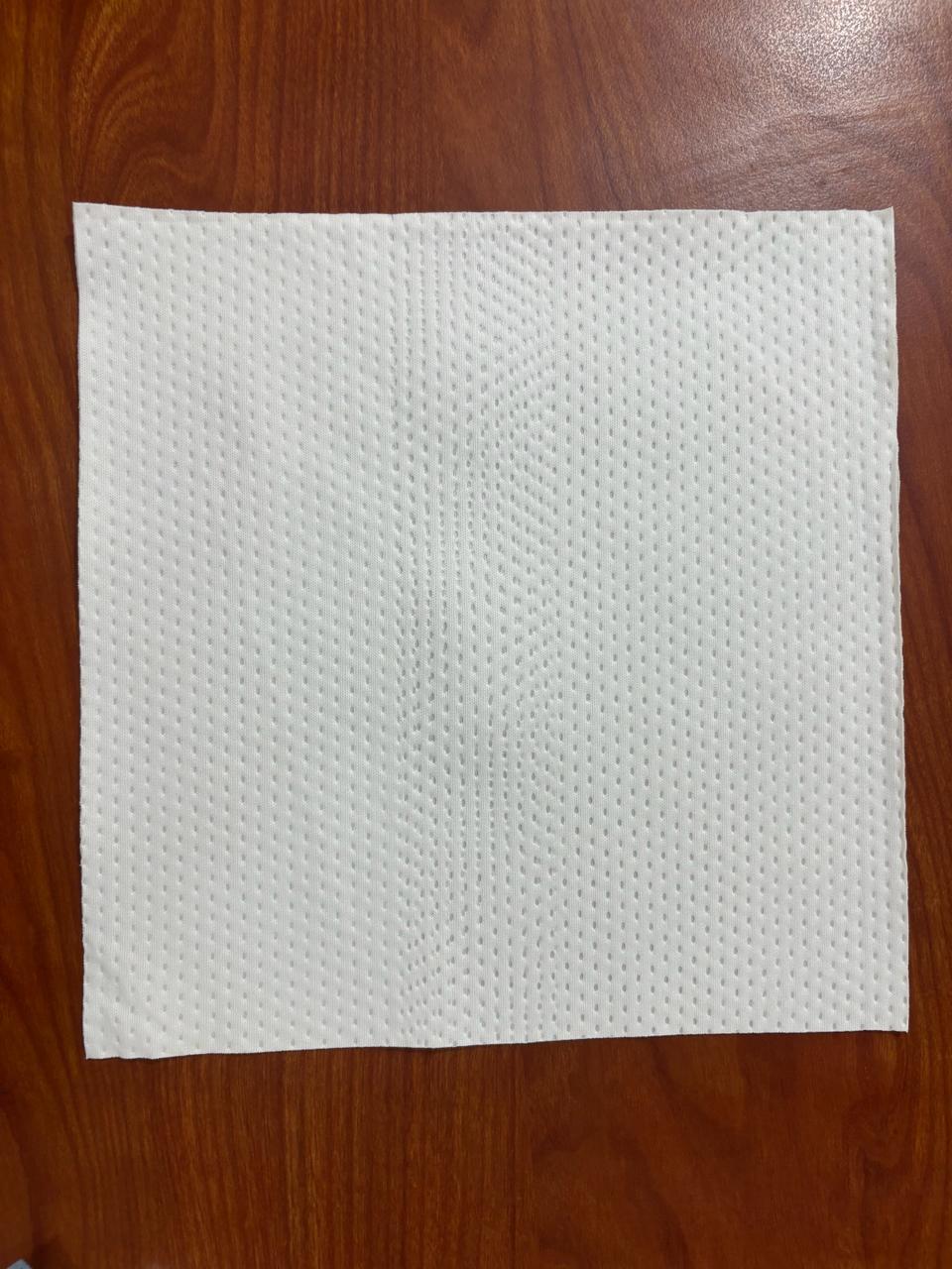 Cleanroom Cellulose Wipes Application: Medical