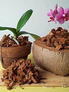 coconut husk chips