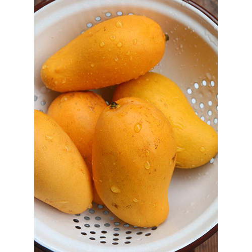 ताज़ा आम