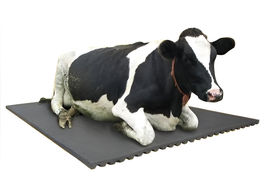 Washable Rubber Cow Mat 4 Feet X 6.5 Feet With Lock Of 17mm Thickness