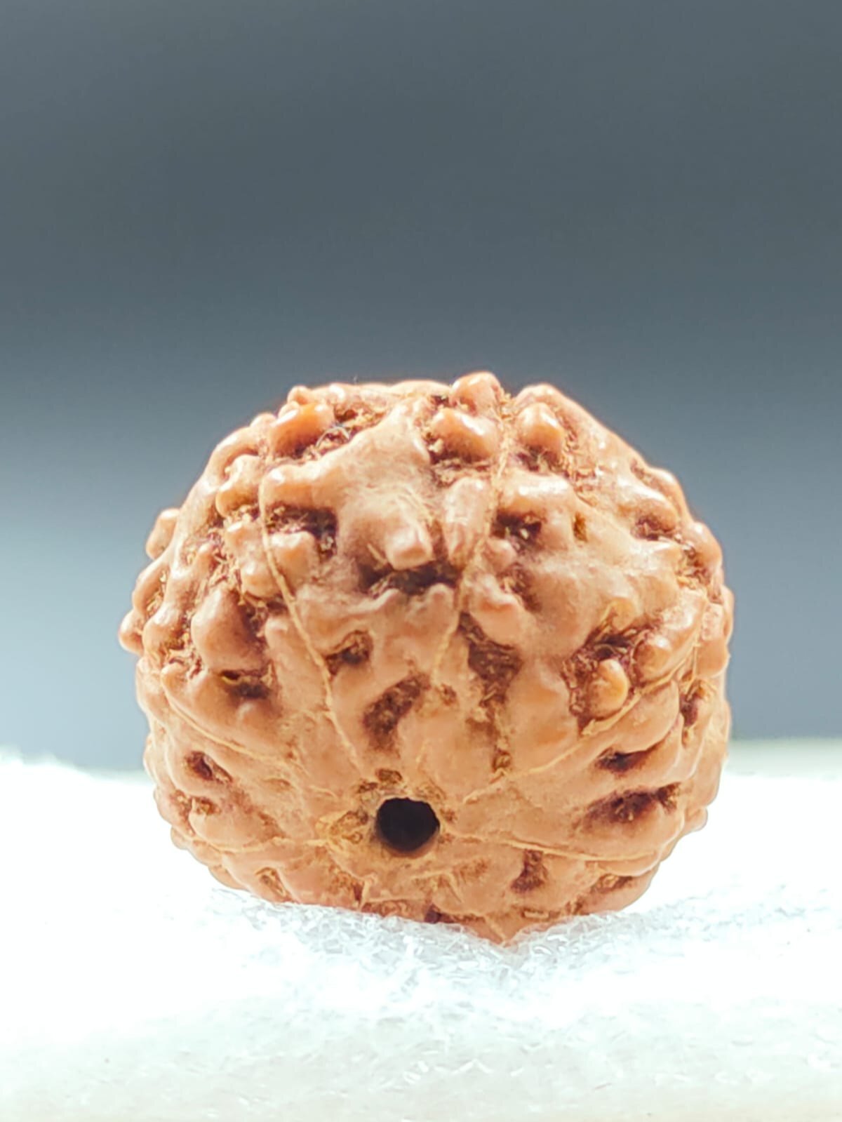 9 Mukhi Rudraksha - Rudraksha Material, Round/oval Shape, Natural Color | Box Packaging, Ideal For Wearing Or Pooja