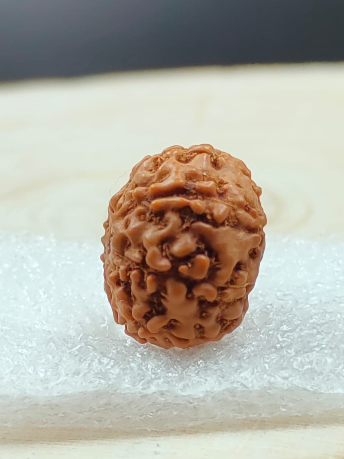 9 Mukhi Rudraksha - Rudraksha Material, Round/oval Shape, Natural Color | Box Packaging, Ideal For Wearing Or Pooja