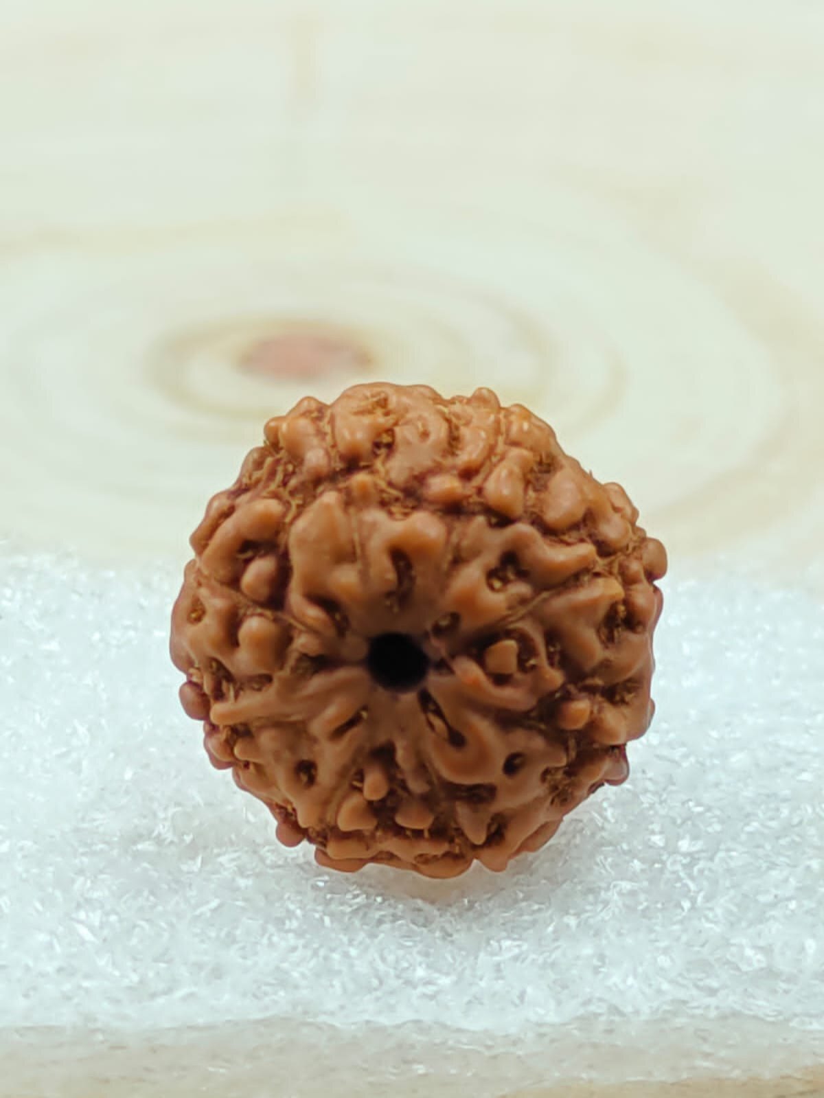 9 Mukhi Rudraksha - Rudraksha Material, Round/oval Shape, Natural Color | Box Packaging, Ideal For Wearing Or Pooja